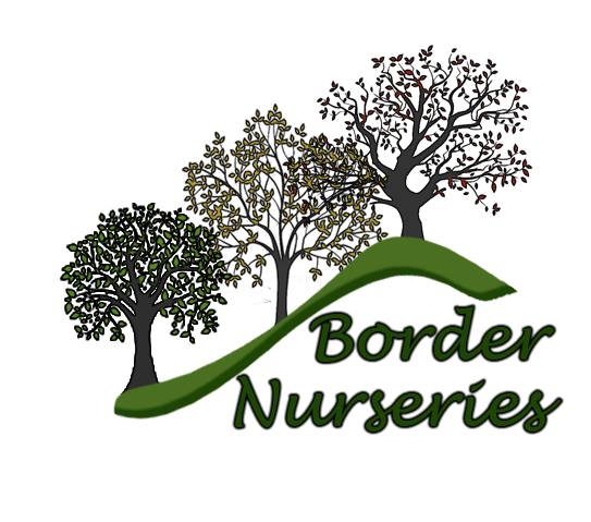 border_nurseries_logo_1
